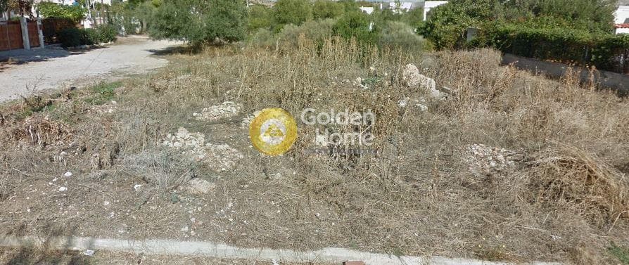 Building Plot in Selinia, Salamina
