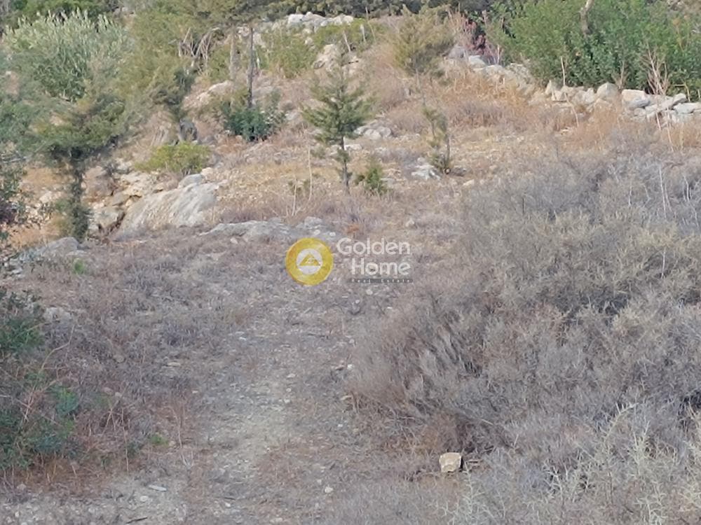 Οικόπεδο στην Αλυκή, Πάρος — Φωτογραφία 9 από 10