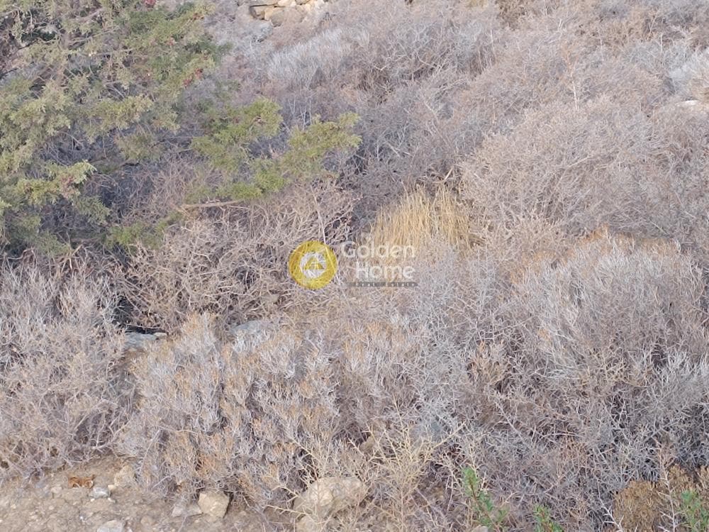 Οικόπεδο στην Αλυκή, Πάρος — Φωτογραφία 10 από 10