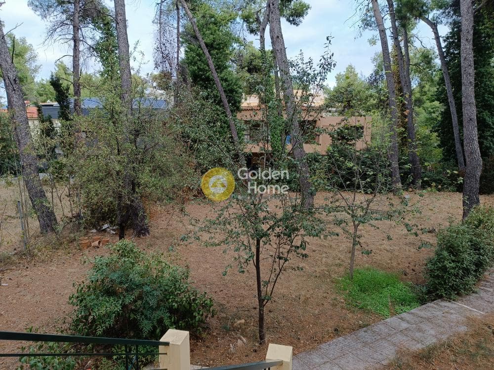 Μονοκατοικία στην Δροσιά, Δροσιά — Φωτογραφία 20 από 23