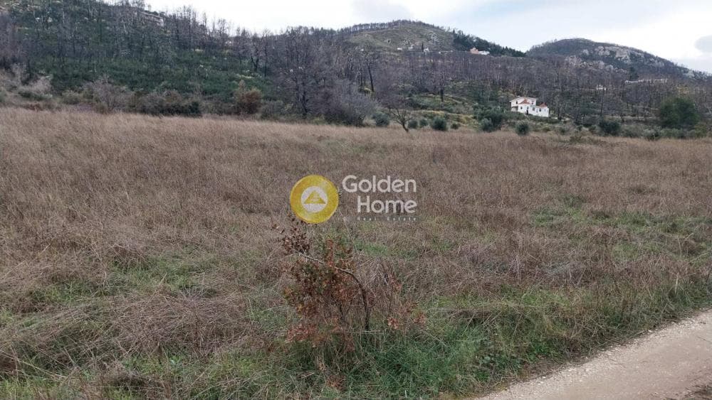 Οικόπεδο στην Κοκκινόβραχος, Αφίδνες — Φωτογραφία 2 από 8