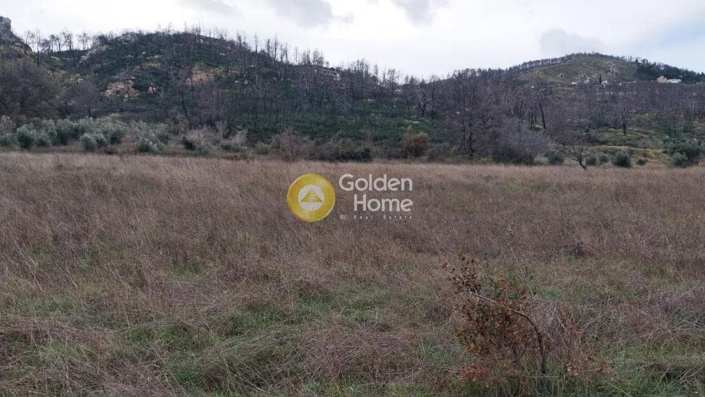 Οικόπεδο στην Κοκκινόβραχος, Αφίδνες — Φωτογραφία 5 από 8