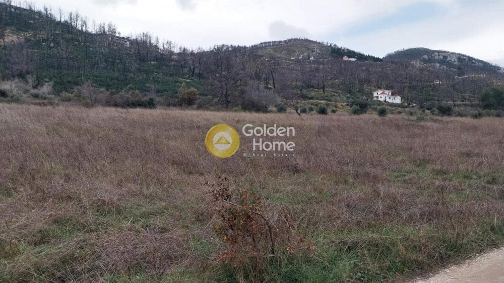 Οικόπεδο στην Κοκκινόβραχος, Αφίδνες — Φωτογραφία 3 από 8