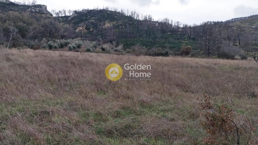 Οικόπεδο στην Κοκκινόβραχος, Αφίδνες — Φωτογραφία 7 από 8