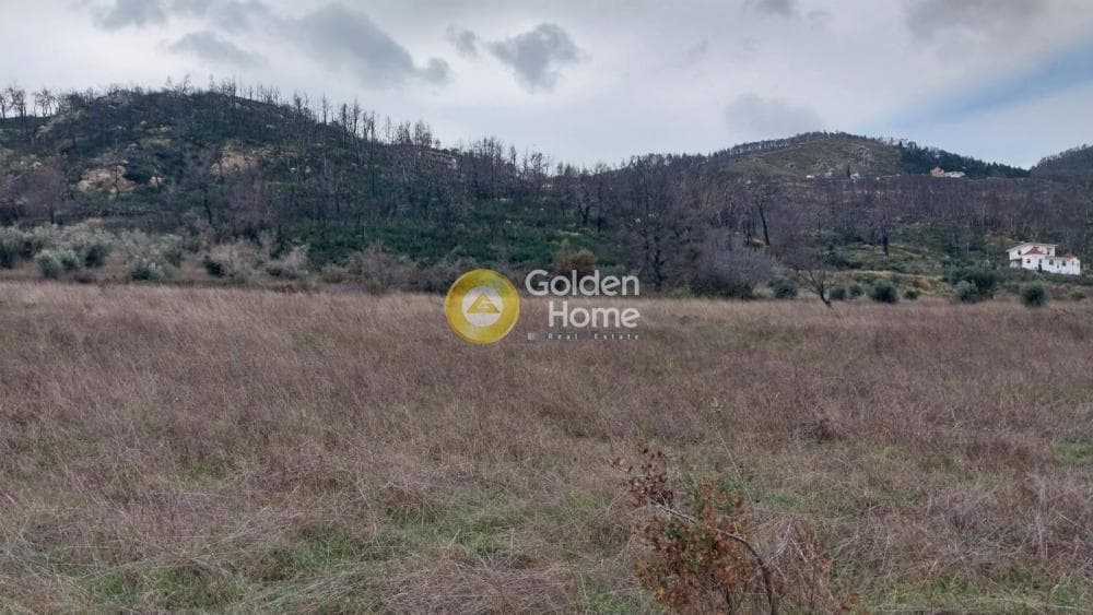 Οικόπεδο στην Κοκκινόβραχος, Αφίδνες — Φωτογραφία 8 από 8