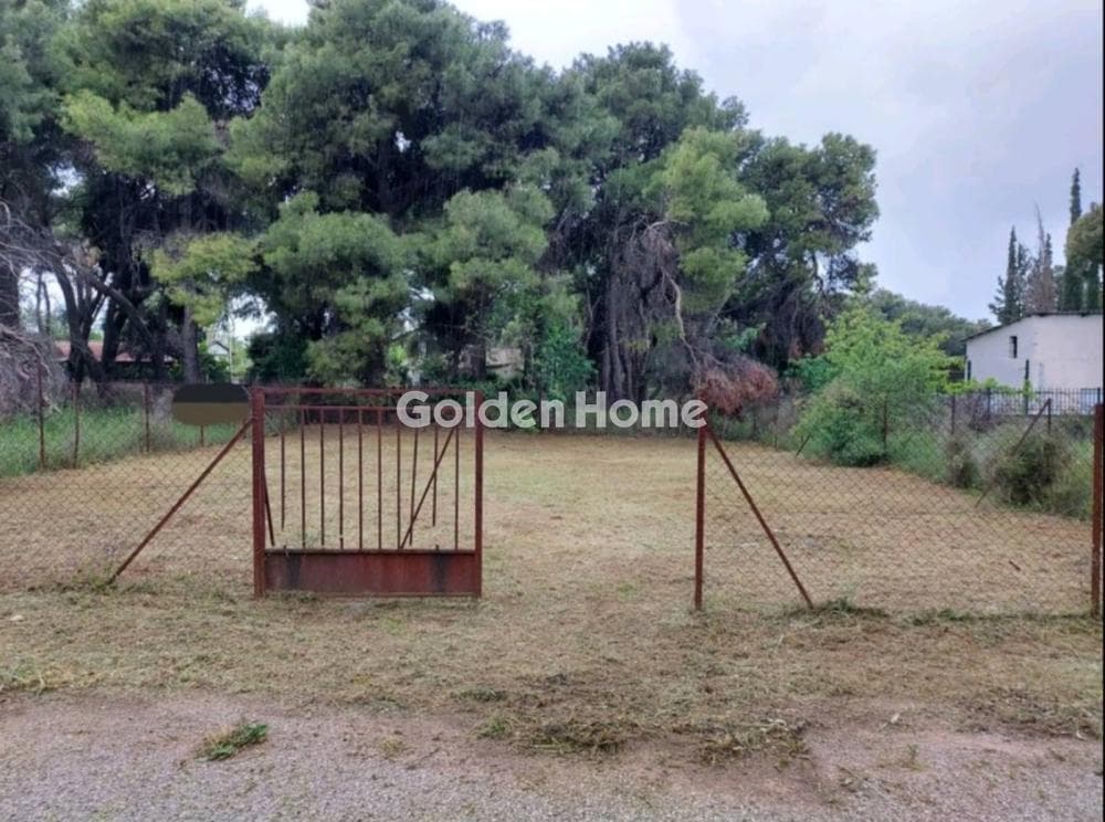 Αγροτεμάχιο στην Κέντρο, Μεταμόρφωση — Φωτογραφία 1 από 2