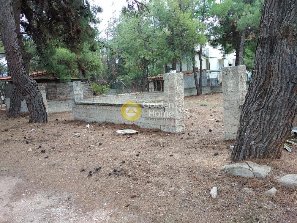 Parcel in Megala Sxoinia A, Acharnes — Photo 3 of 8