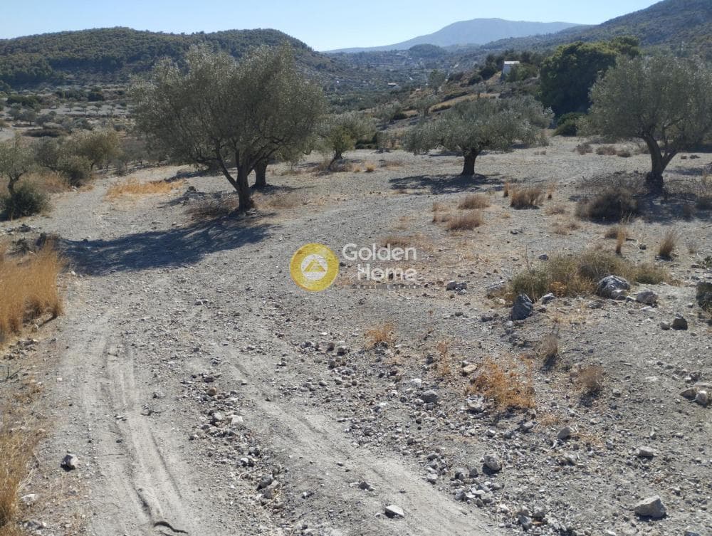 Αγροτεμάχιο στην Ρουντζέρι Λεμπρού, Κερατέα — Φωτογραφία 3 από 5