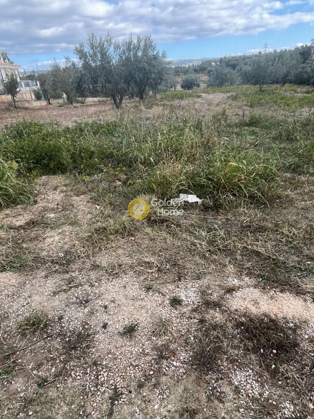 Building Plot in Stathmos Afidnon, Afidnes — Photo 8 of 25