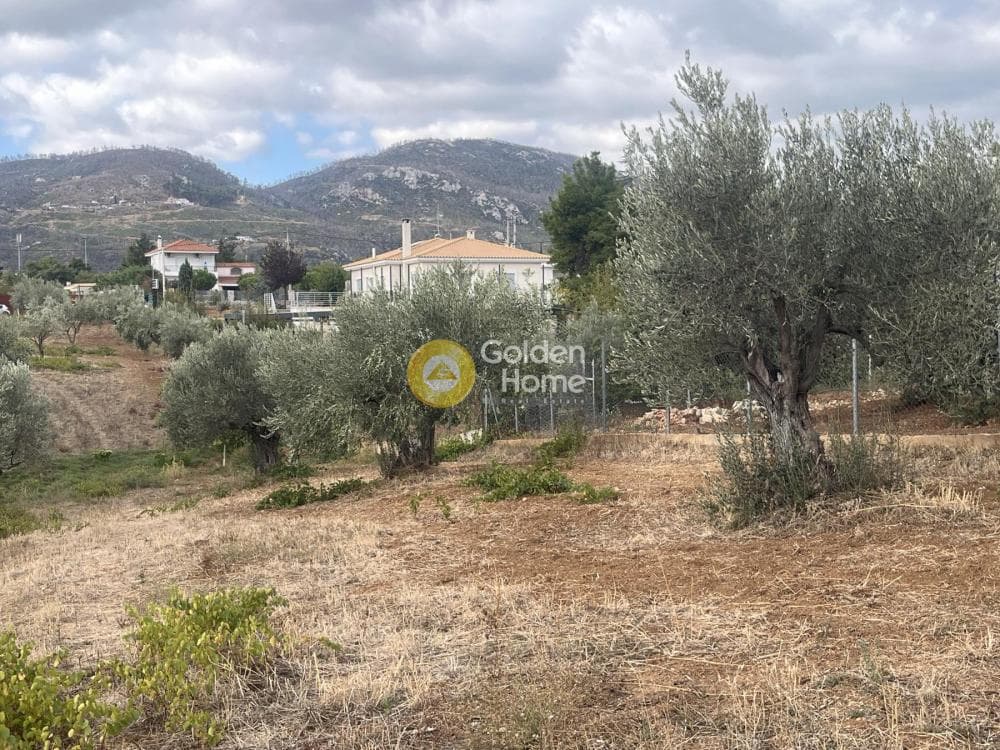 Building Plot in Stathmos Afidnon, Afidnes — Photo 3 of 25