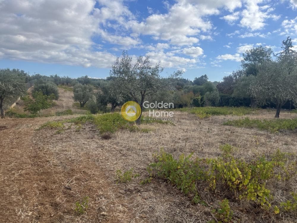 Building Plot in Stathmos Afidnon, Afidnes — Photo 6 of 25