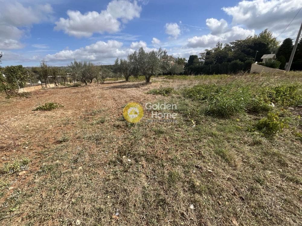 Building Plot in Stathmos Afidnon, Afidnes — Photo 4 of 25
