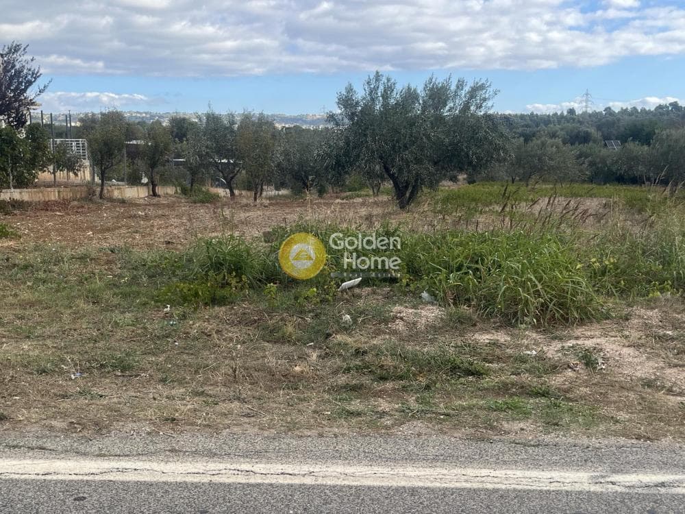 Building Plot in Stathmos Afidnon, Afidnes — Photo 9 of 25