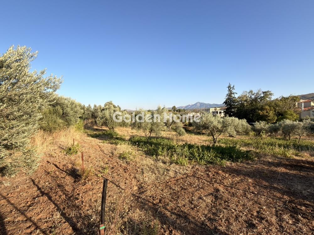 Building Plot in Stathmos Afidnon, Afidnes — Photo 14 of 25