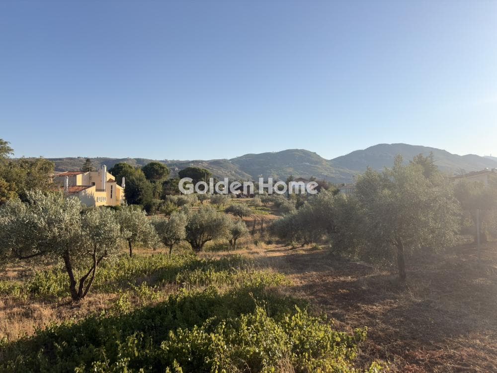 Building Plot in Stathmos Afidnon, Afidnes — Photo 15 of 25