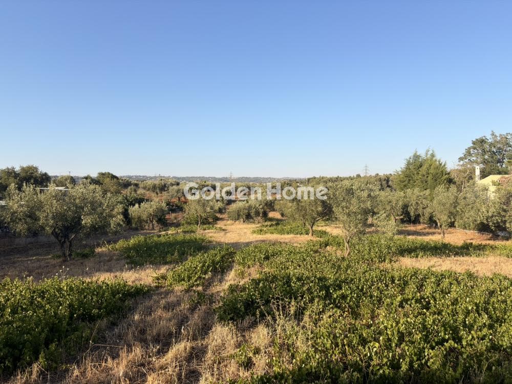Building Plot in Stathmos Afidnon, Afidnes — Photo 16 of 25