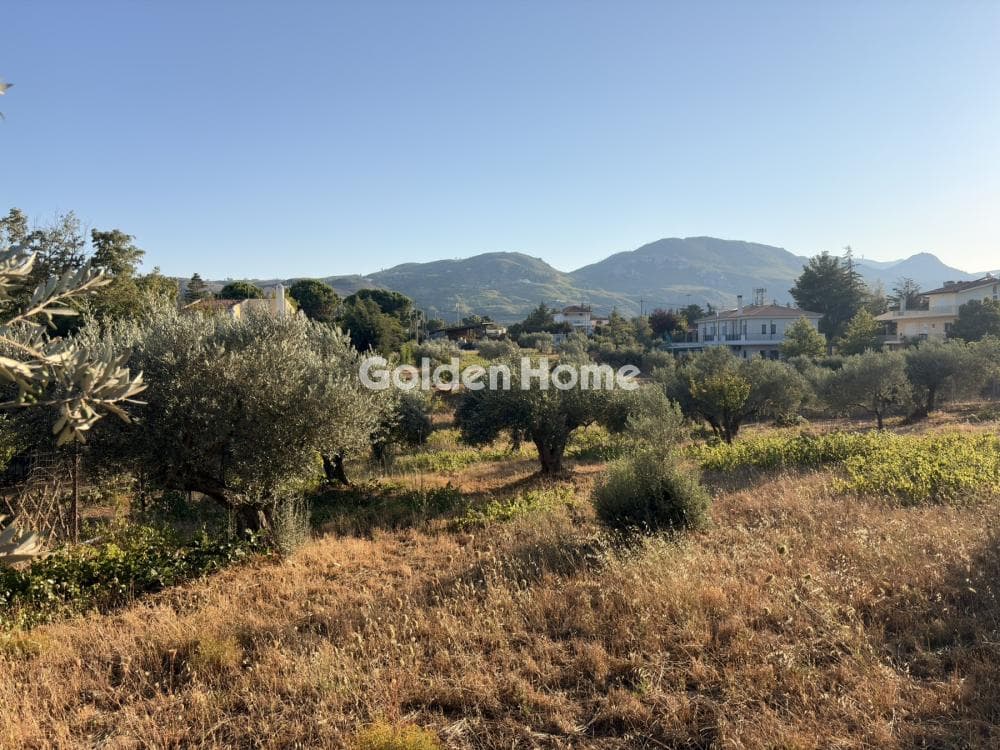 Building Plot in Stathmos Afidnon, Afidnes — Photo 17 of 25
