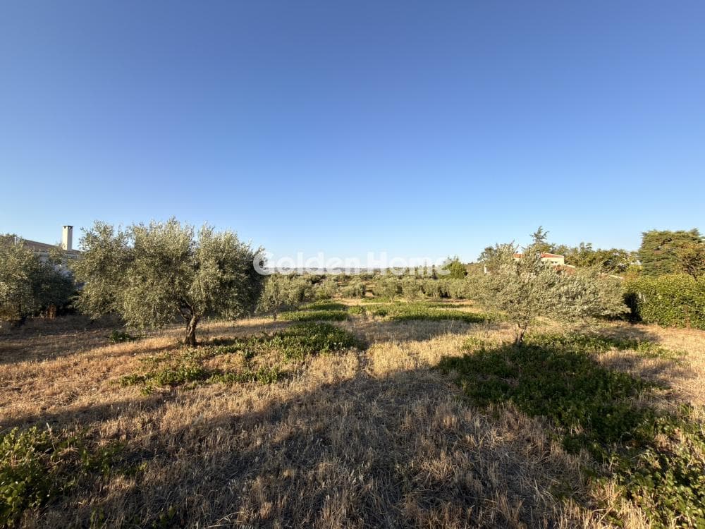 Building Plot in Stathmos Afidnon, Afidnes — Photo 12 of 25
