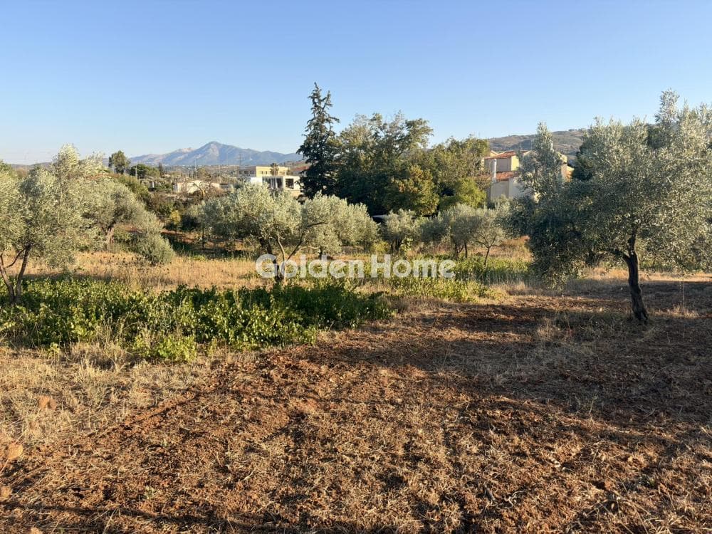 Building Plot in Stathmos Afidnon, Afidnes — Photo 18 of 25