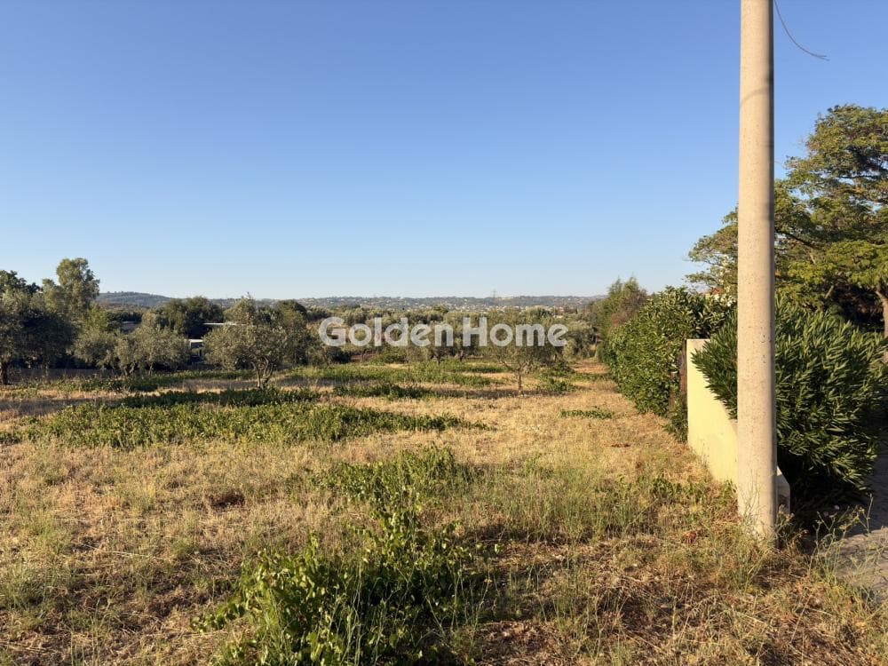 Building Plot in Stathmos Afidnon, Afidnes — Photo 19 of 25