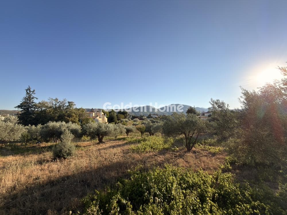 Building Plot in Stathmos Afidnon, Afidnes — Photo 20 of 25