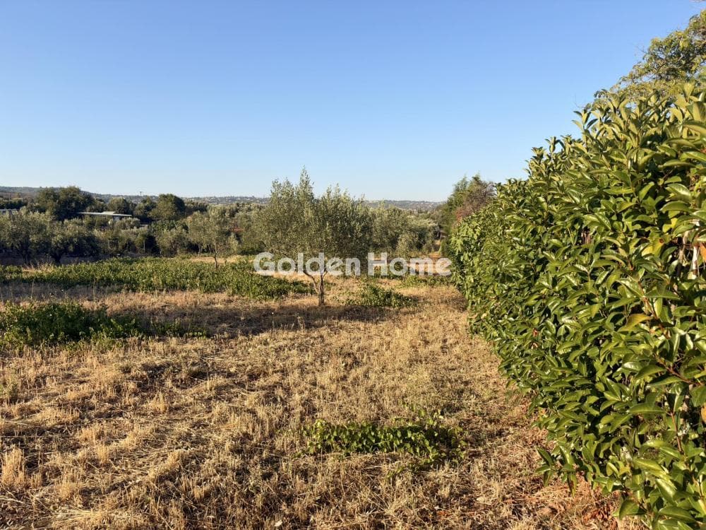 Building Plot in Stathmos Afidnon, Afidnes — Photo 21 of 25