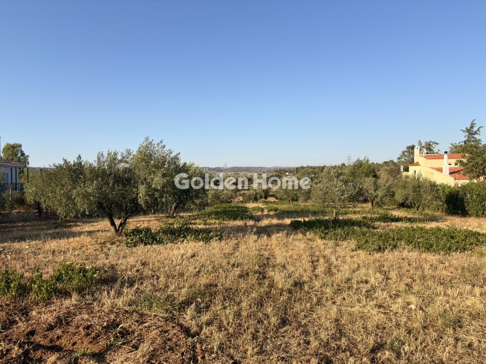 Building Plot in Stathmos Afidnon, Afidnes — Photo 22 of 25