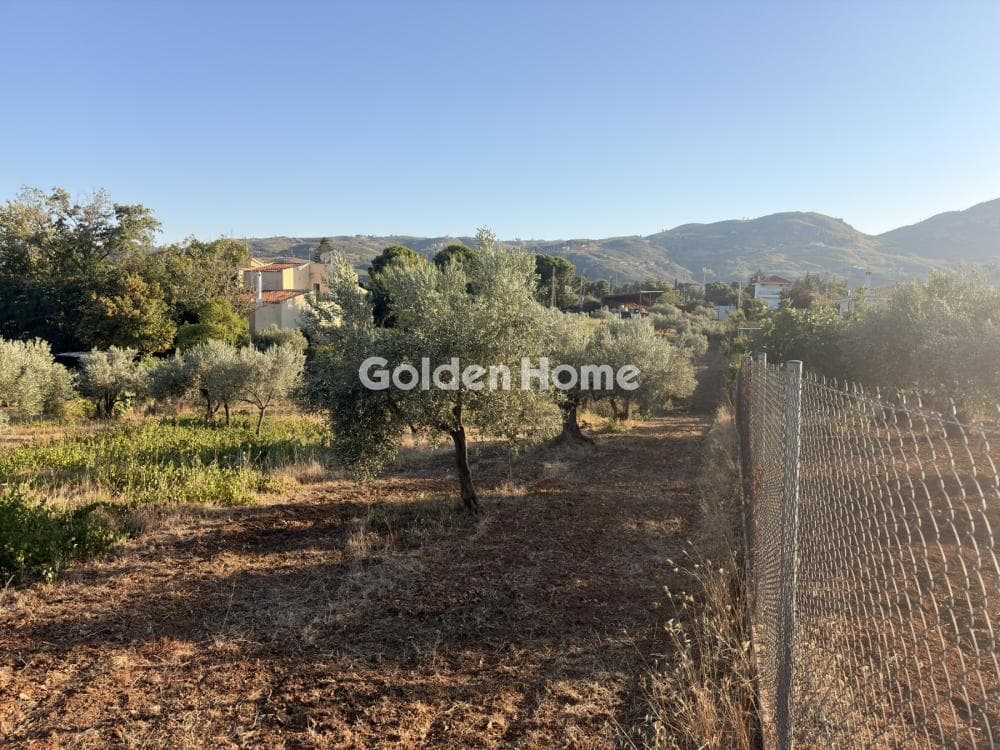Building Plot in Stathmos Afidnon, Afidnes — Photo 23 of 25