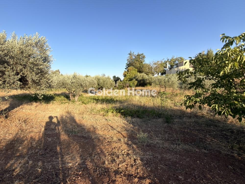 Building Plot in Stathmos Afidnon, Afidnes — Photo 24 of 25