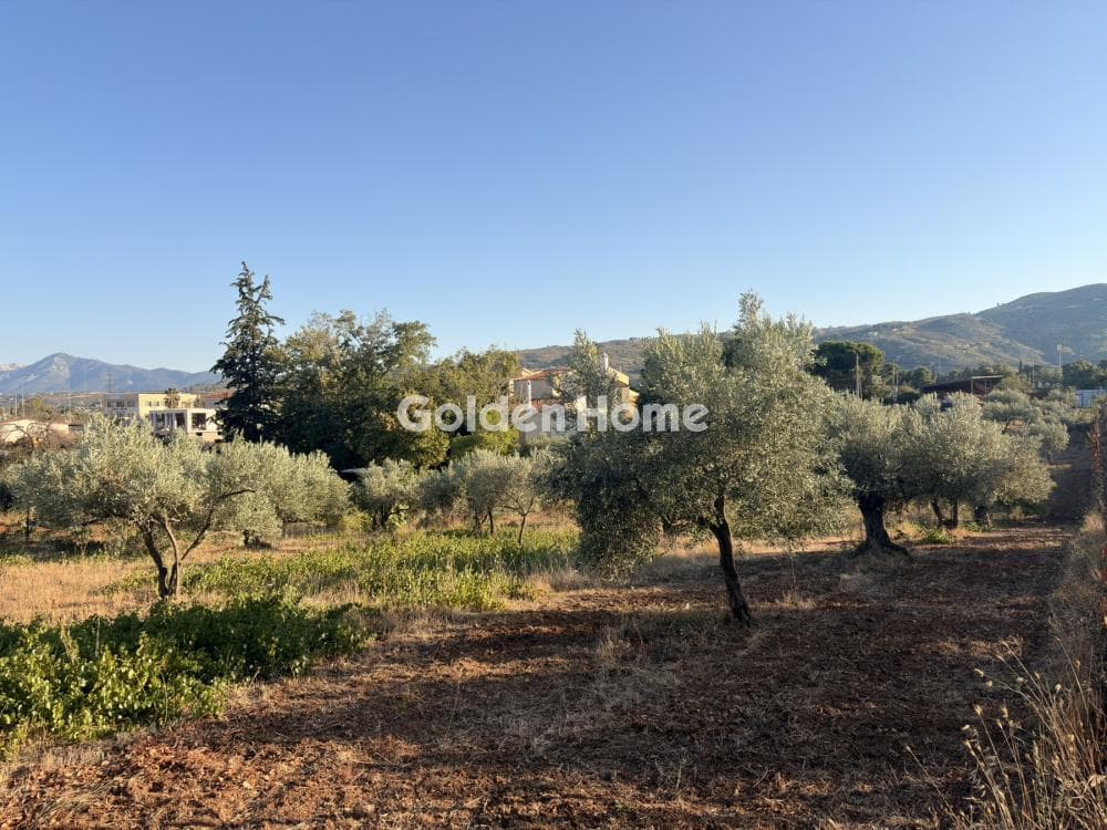 Building Plot in Stathmos Afidnon, Afidnes — Photo 11 of 25