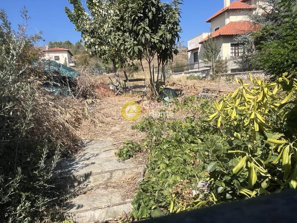 Parcel in Kiourka, Afidnes — Photo 1 of 3