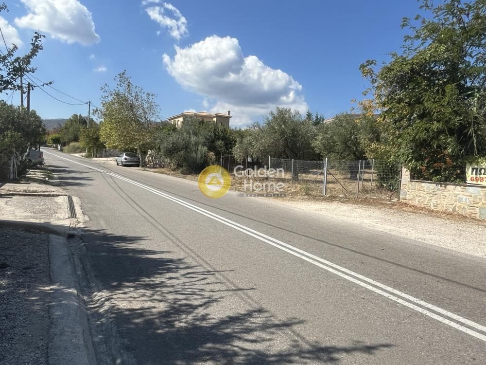 Parcel in Kiourka, Afidnes — Photo 2 of 3