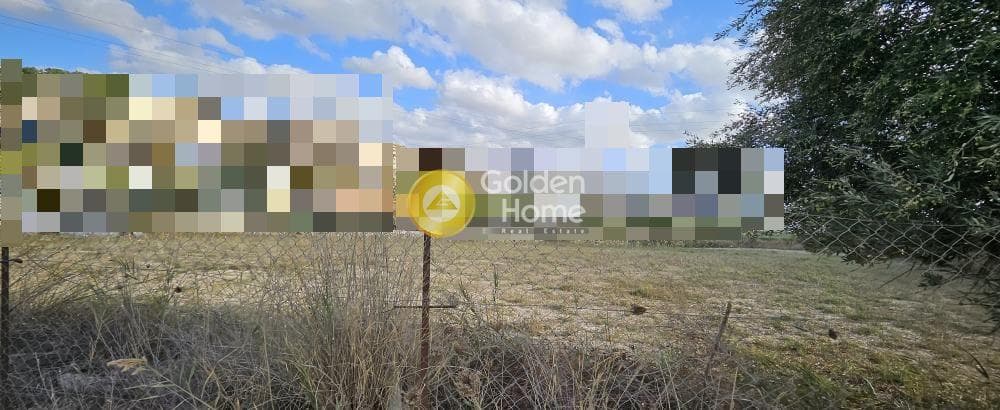 Αγροτεμάχιο στην Φοινικιά, Τέμενος — Φωτογραφία 1 από 2