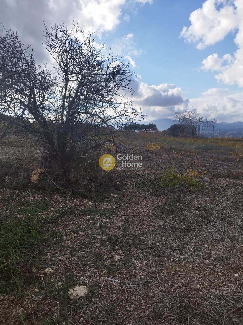 Building Plot in Agios Vlasios, Archanes — Photo 7 of 7