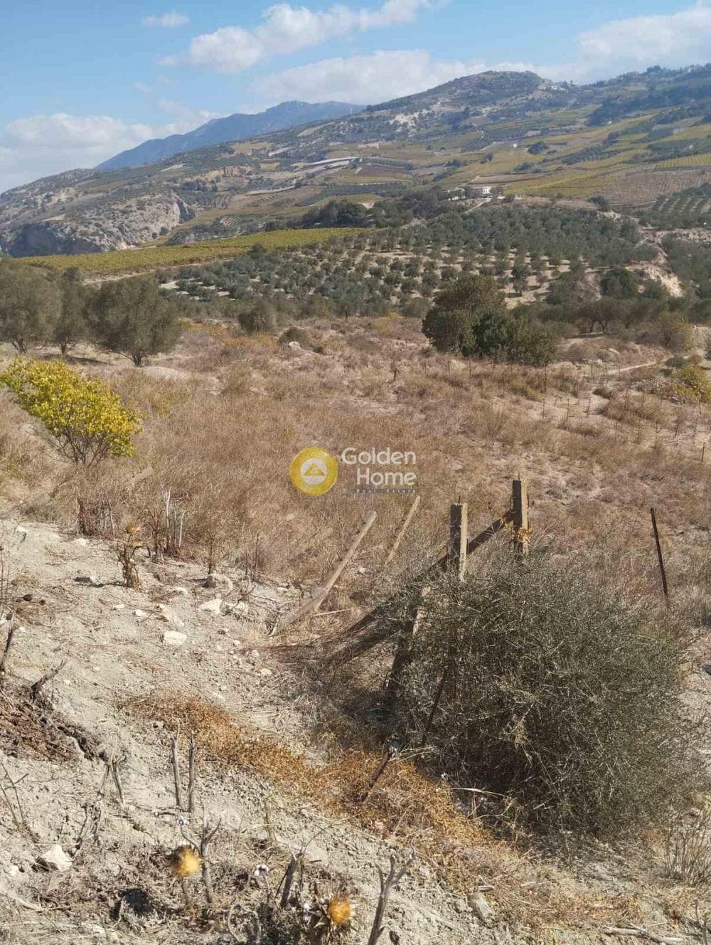 Αγροτεμάχιο στην Δαφνές, Τετραχώρι — Φωτογραφία 1 από 7