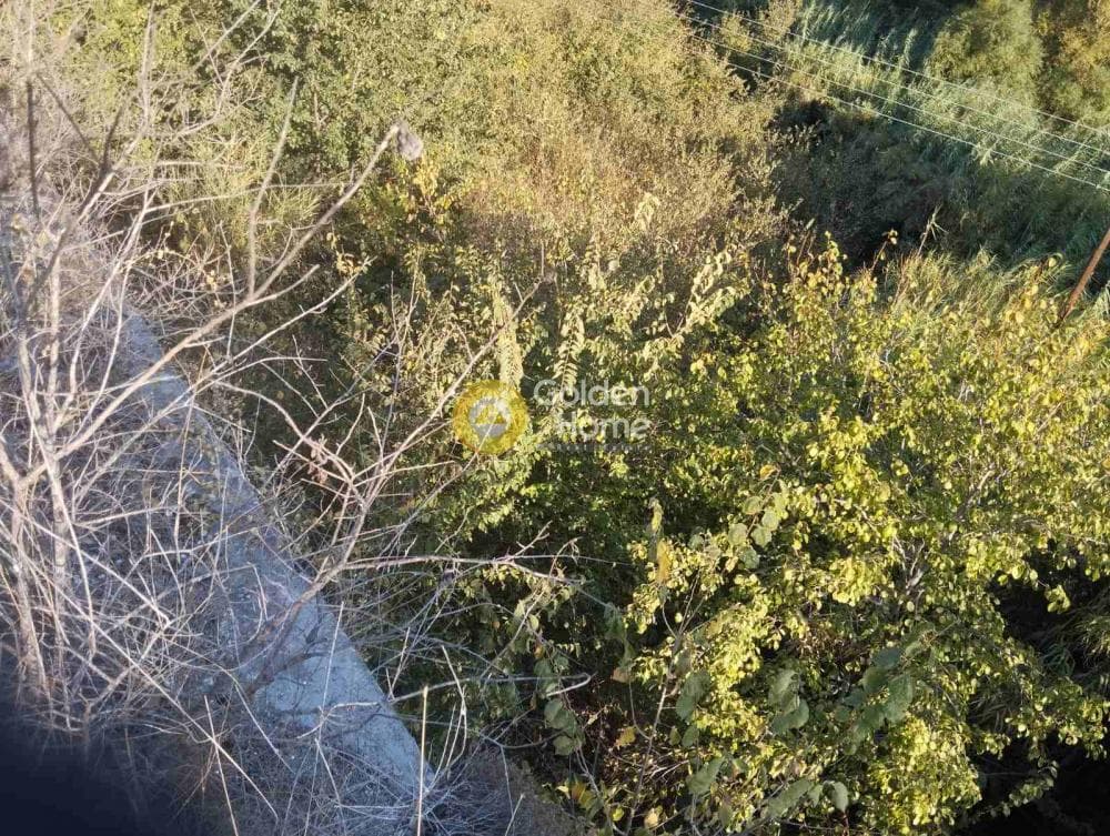 Αγροτεμάχιο στην Δαφνές, Τετραχώρι — Φωτογραφία 7 από 7
