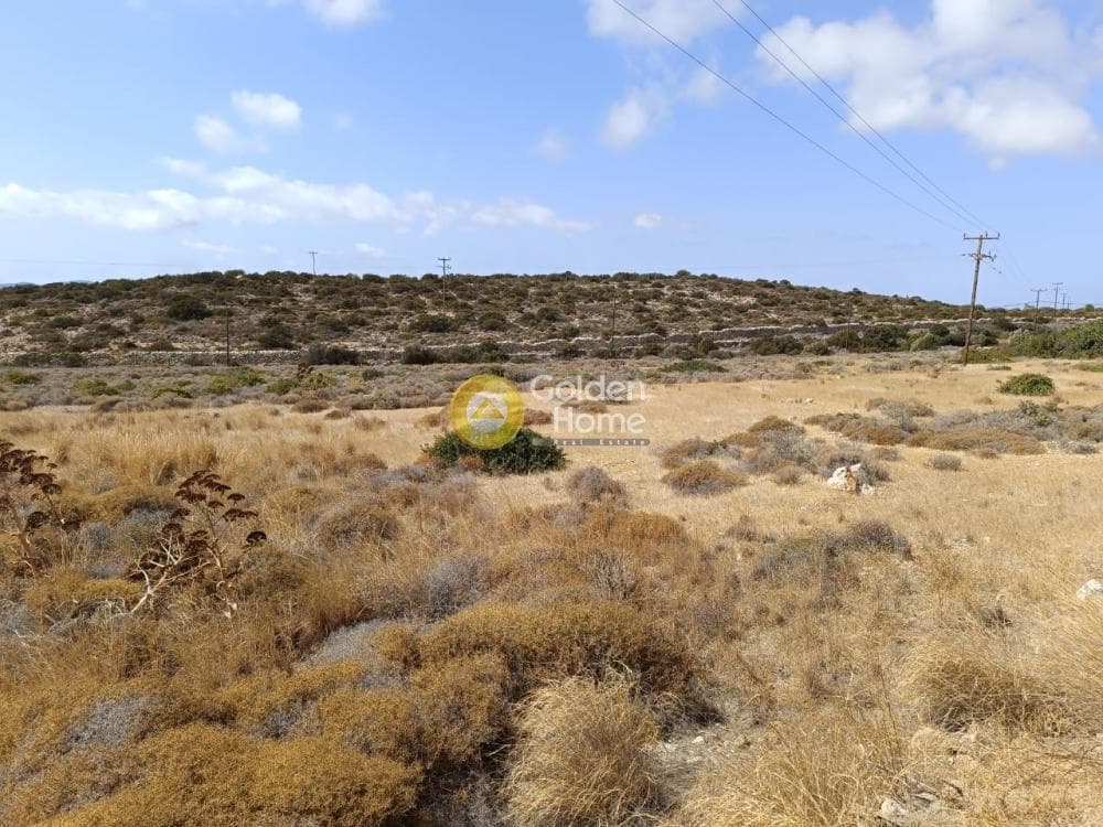 Αγροτεμάχιο στην Αλυκή, Πάρος — Φωτογραφία 2 από 12
