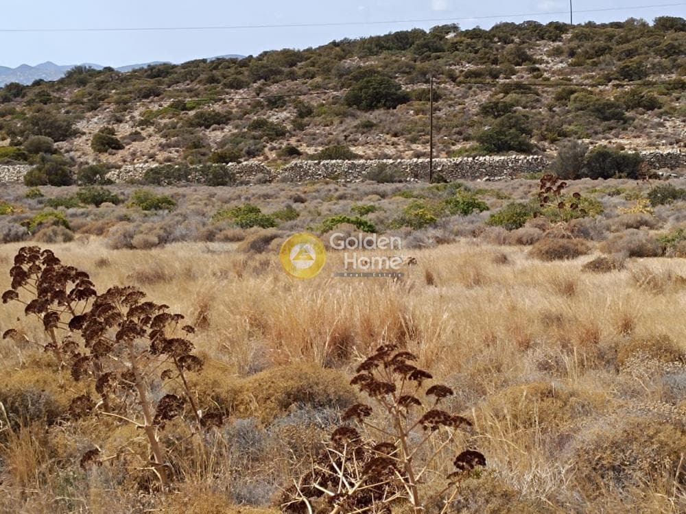 Αγροτεμάχιο στην Αλυκή, Πάρος — Φωτογραφία 4 από 12