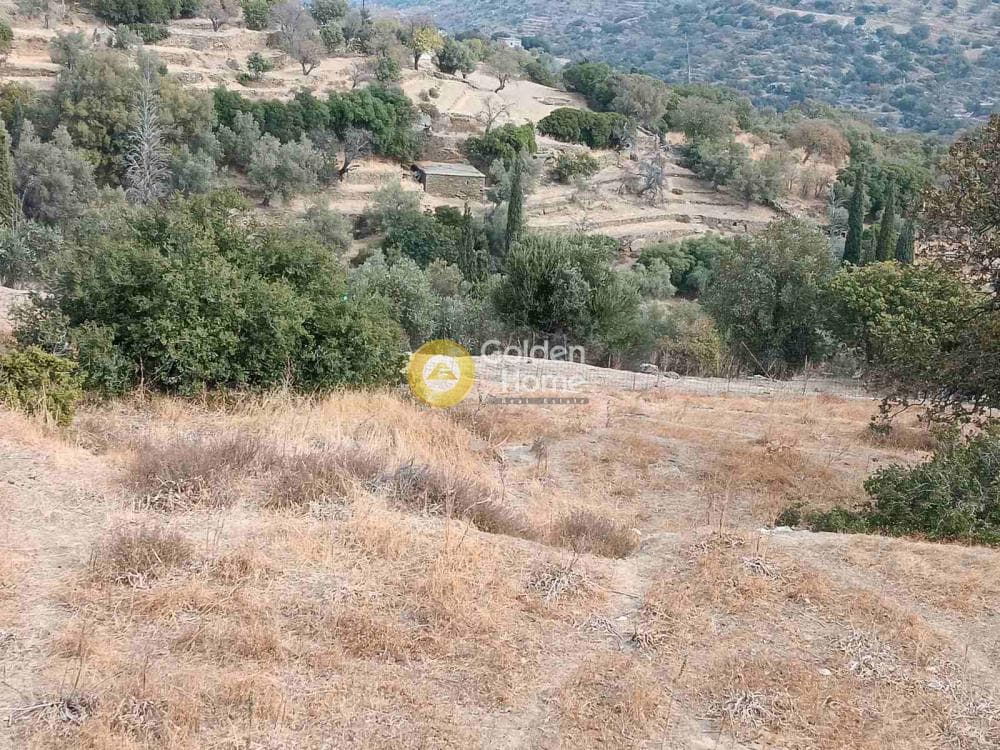 Οικόπεδο στην Αλαδινό, Άνδρος — Φωτογραφία 2 από 7