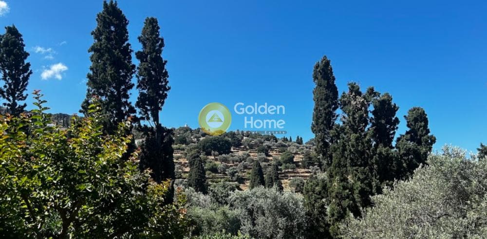 Οικόπεδο στην Λάμυρα, Άνδρος — Φωτογραφία 1 από 2
