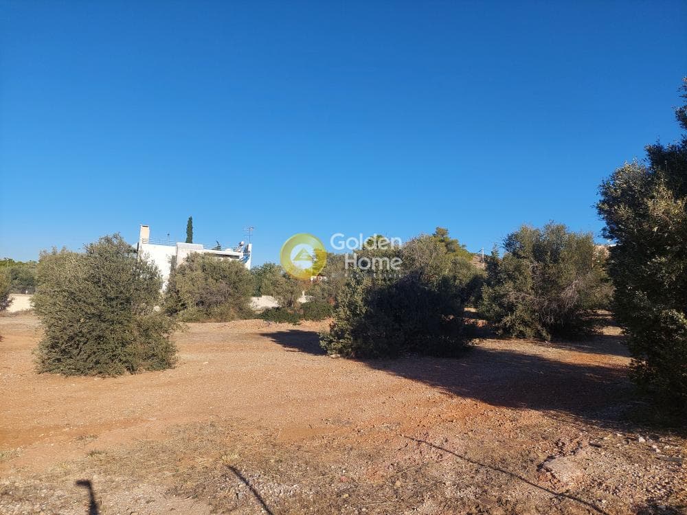Οικόπεδο στην Καλύβια, Καλύβια Θορικού — Φωτογραφία 1 από 10