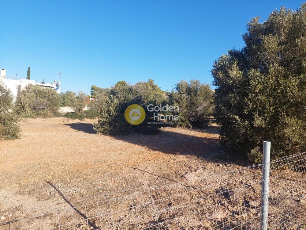 Οικόπεδο στην Καλύβια, Καλύβια Θορικού — Φωτογραφία 8 από 10