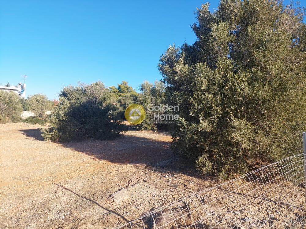 Οικόπεδο στην Καλύβια, Καλύβια Θορικού — Φωτογραφία 4 από 10