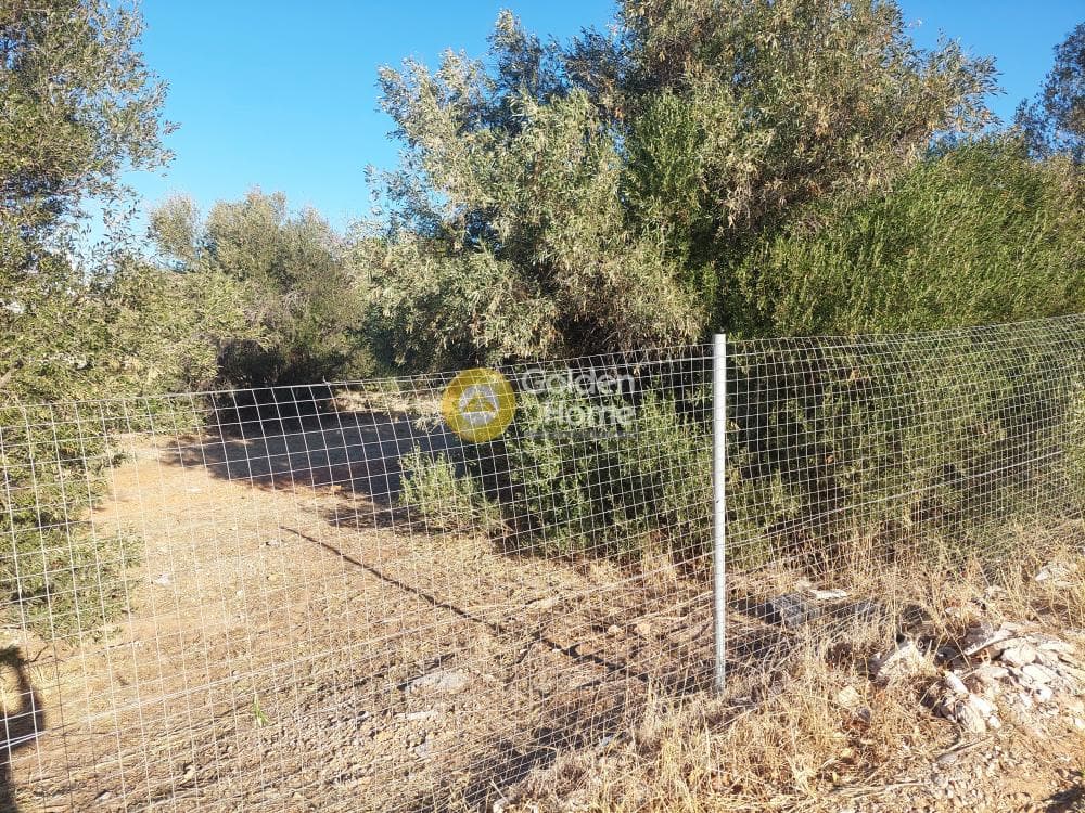 Οικόπεδο στην Καλύβια, Καλύβια Θορικού — Φωτογραφία 10 από 10