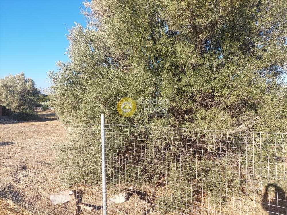 Οικόπεδο στην Καλύβια, Καλύβια Θορικού — Φωτογραφία 6 από 10