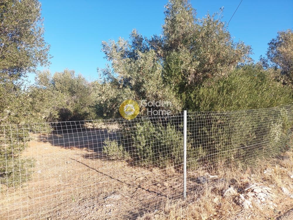 Οικόπεδο στην Καλύβια, Καλύβια Θορικού — Φωτογραφία 3 από 10