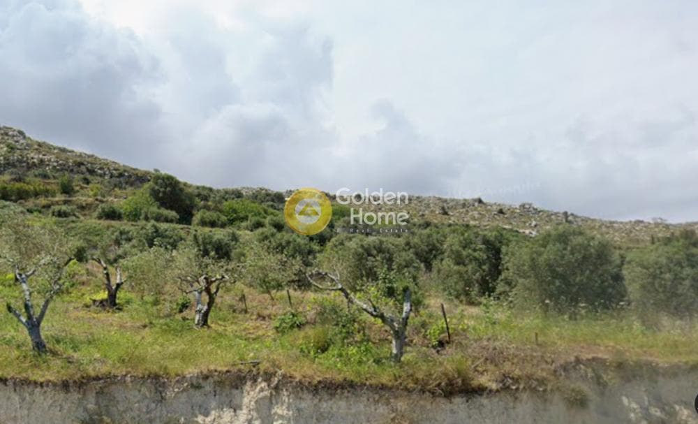 Building Plot in Elia, Episkopi