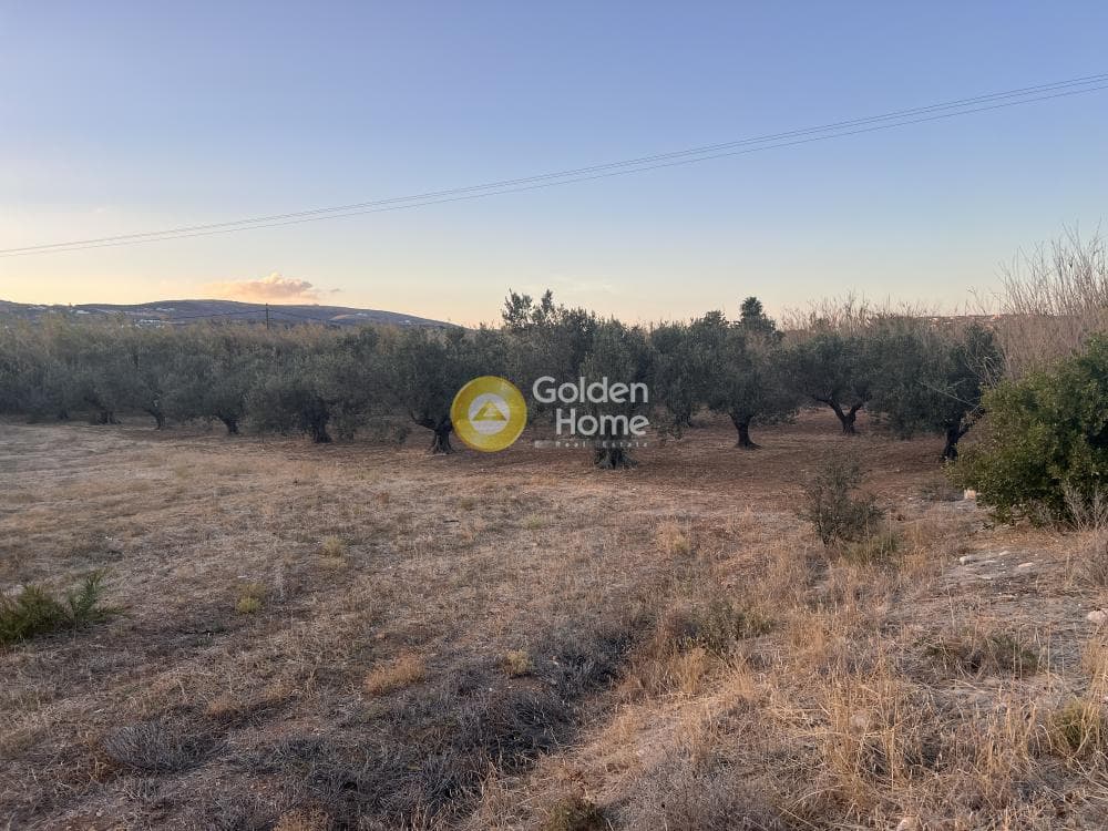 Αγροτεμάχιο στην Γλυφάδες, Πάρος — Φωτογραφία 5 από 16