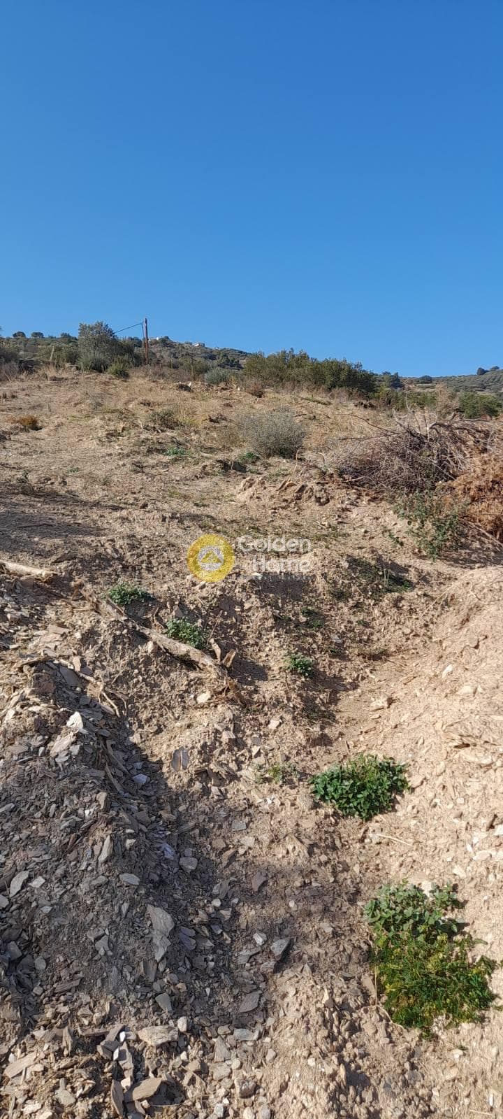 Οικόπεδο στην Καπετανάκι Μετόχι, Γάζι — Φωτογραφία 3 από 7