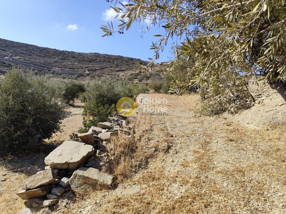 Parcel in Agios Arsenios, Naxos — Photo 1 of 6